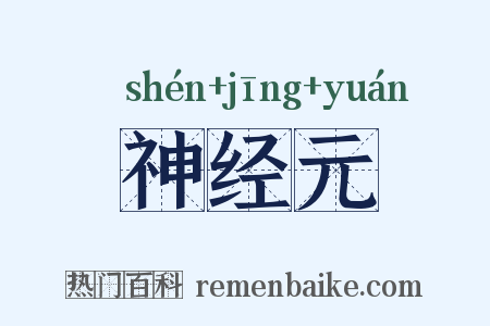 神经元是什么意思的图片